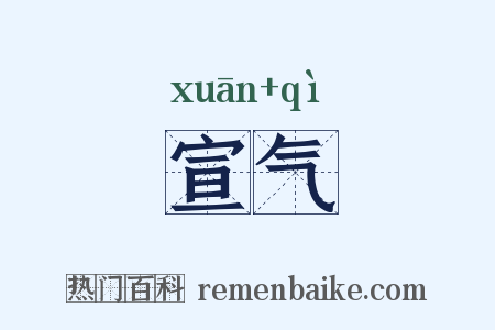 宣气是什么意思的图片